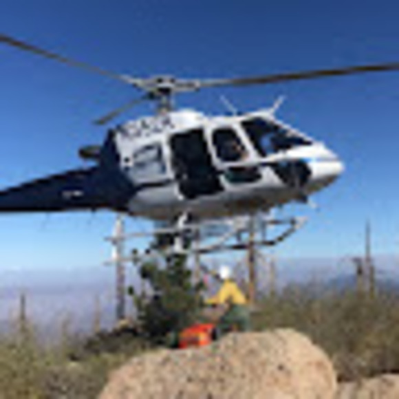 Meet your Posher, Sophia - Picture 1 of 1